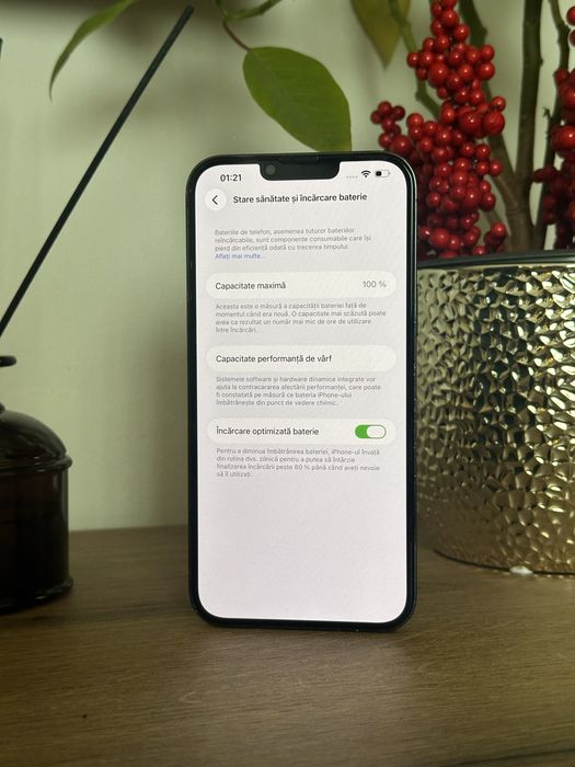 iPhone 13 Pro Max - 100% - Alpine Green - 256GB Neverlocked