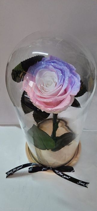 Trandafir criogenat!