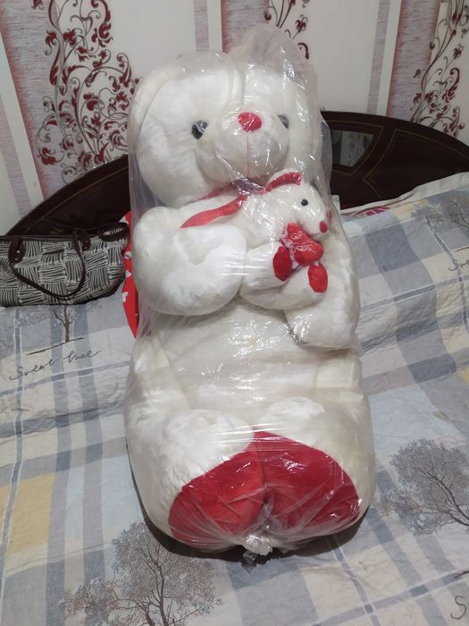 Пподает Новый Белый Мишка с малышом