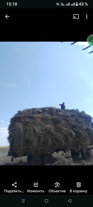 Прицеп ПТС12 сеновозка