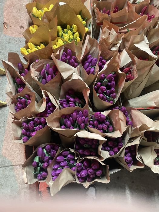 тюлпаны оптом от 370 тг