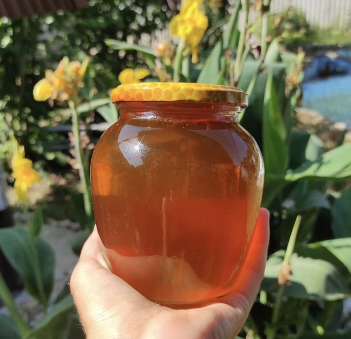 Натуральный горный мёд со своей пасеки
