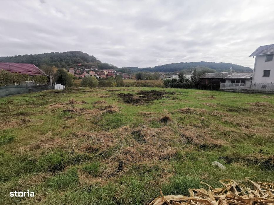 Teren intravilan de vanzare - Medias
