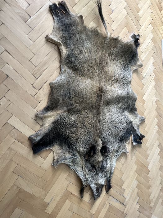 Кожа от Глиган Диво прасе