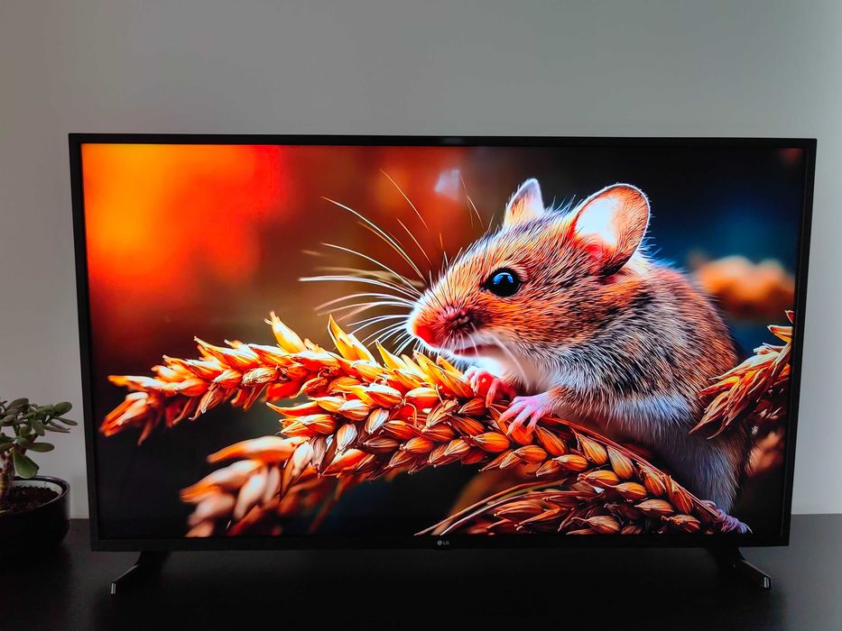 LG LED 126 cm Smart 4K Ultra HD