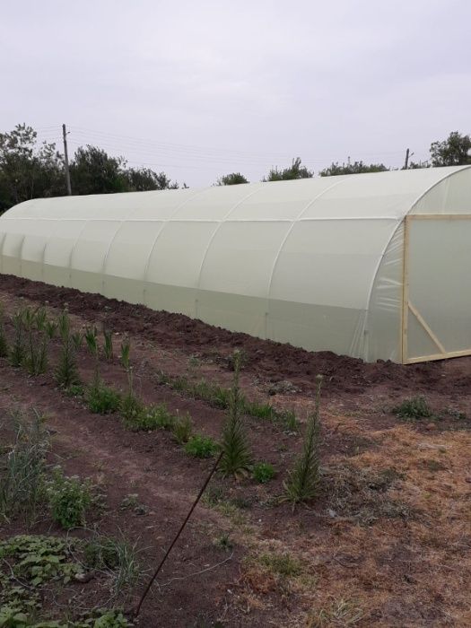 Solar zincat 10 m /4 m pt. legume, flori ,rasaduri
