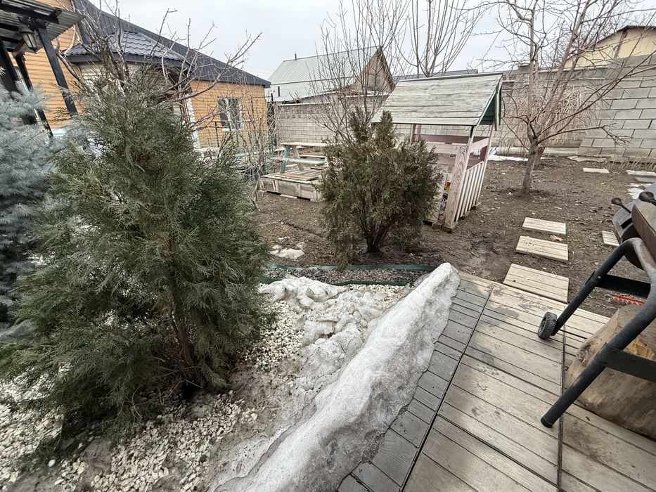 Елка Ель Туя книжка