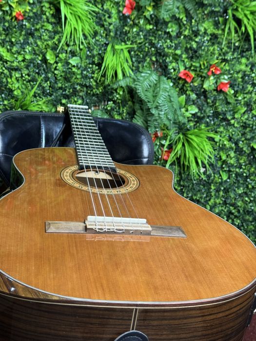 Classic Gitara Ibanez