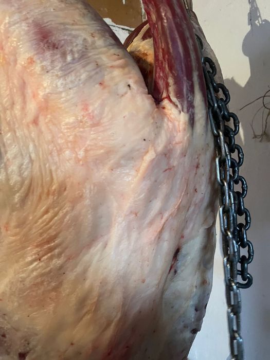 Байтал Кунажын.