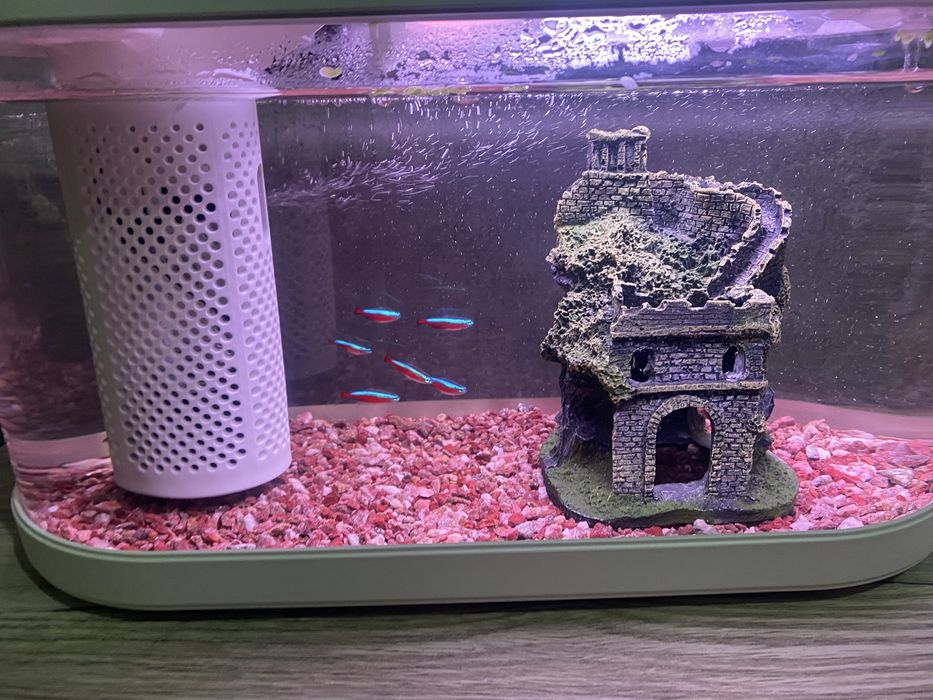 Xiaomi Geometry Fish Tank C180 8л умный аквариум