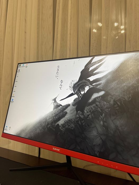 Монитор Sanc 165hz