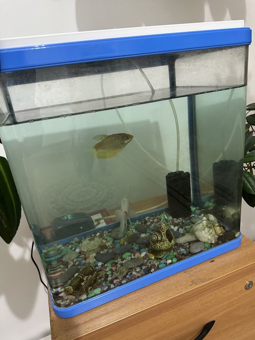 Аквариум сатылады 30 л