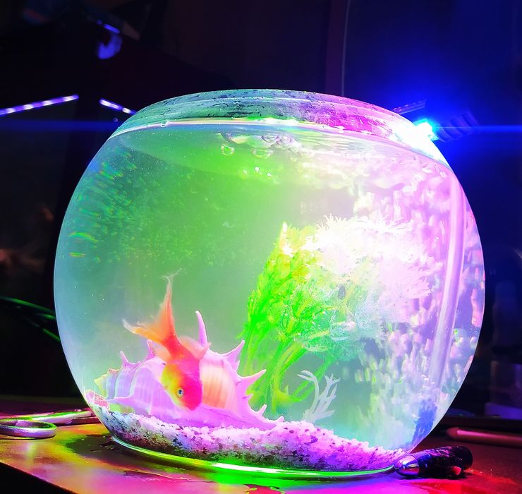 Аквариум круглый  и золотая рыбка