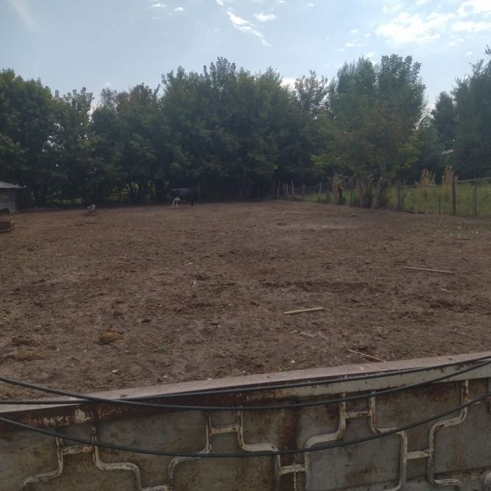 Дом молочная ферма