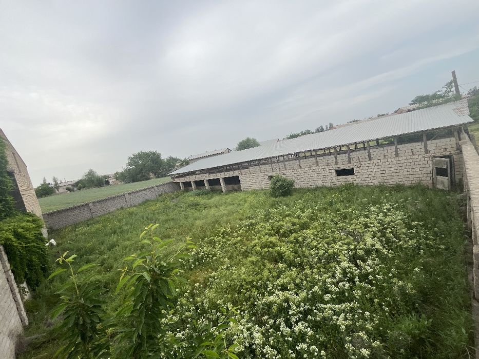 Toshkent viloyati Toshkent tumani yer sotiladi