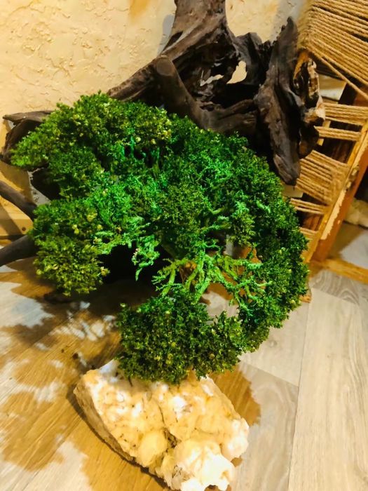 Бансай на агате дизайнерская работа