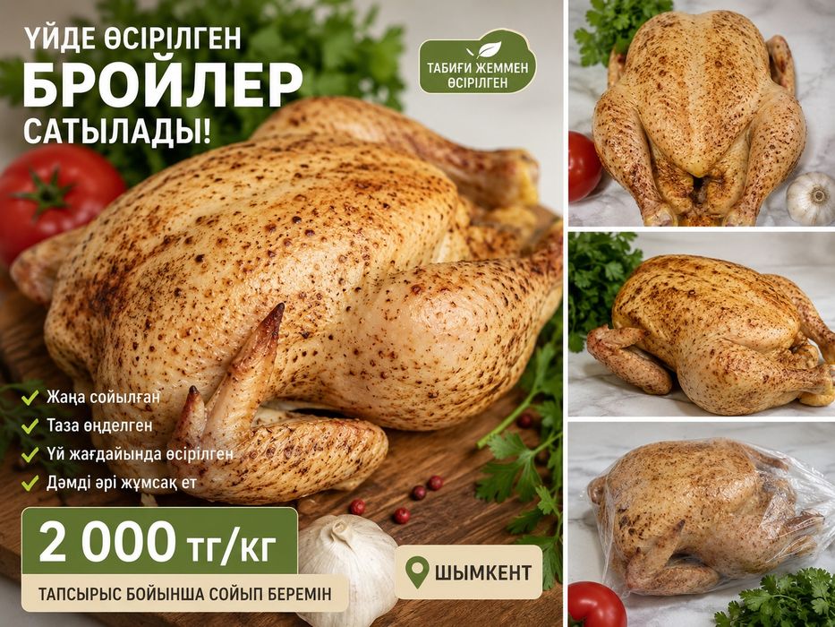 Үйде өсірілген Бройлер