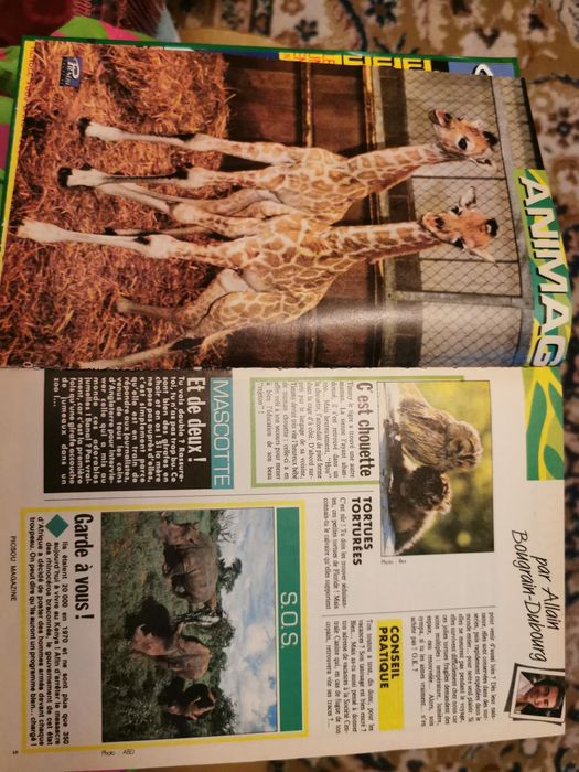 ALBUM PICSOU Magazine No 186