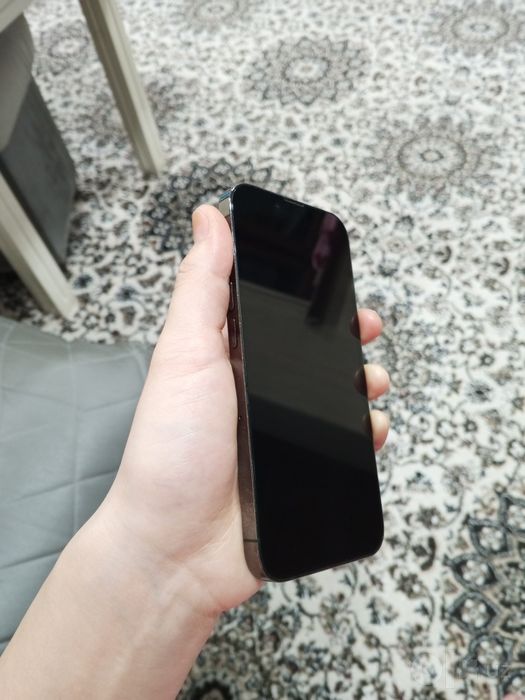 iPhone 13 pro black titanium