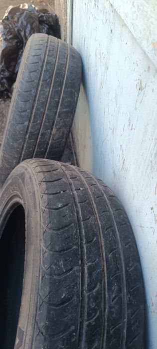 Продам 2 летних шины Nexen