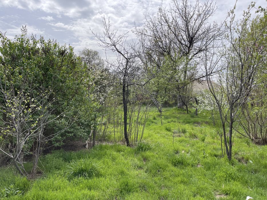 Дом с земельным учаском