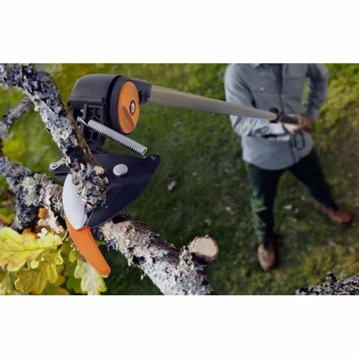 Обрезка плодовых деревьев