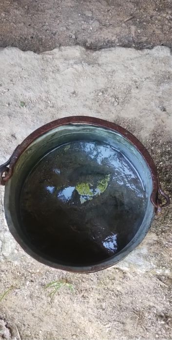 100 годишно менче