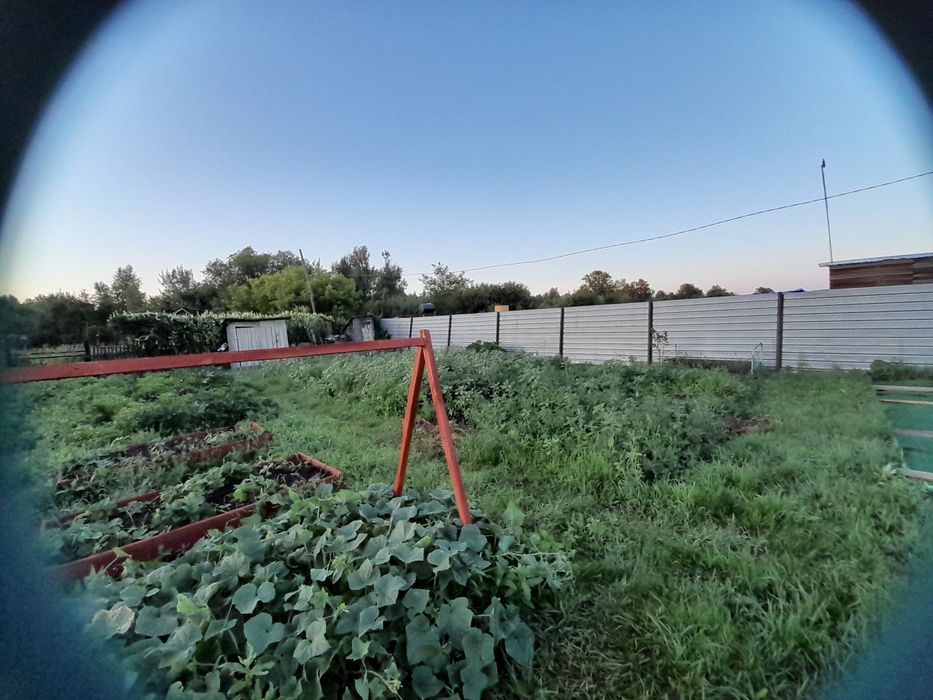 Продам дачу в СО Борки