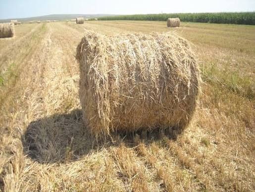 Vând baloți paie