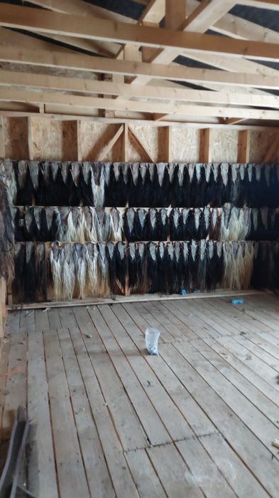 Cozi de cal pentru măști sau pleaftura