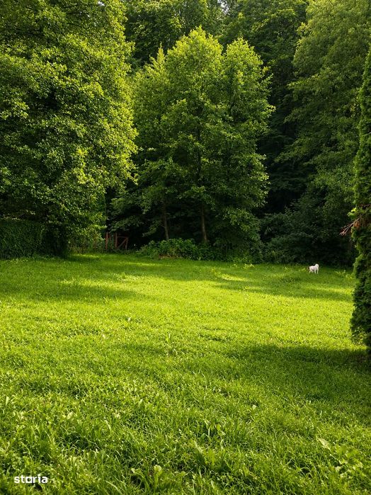 Casă de vacanță in Câmpu Cetății,teren  2.400 mp, lângă râu și pădure