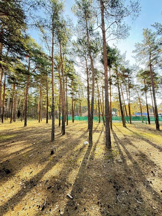 Щучинск. сан. Светлый