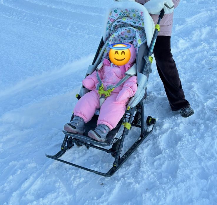 Санки коляска зима