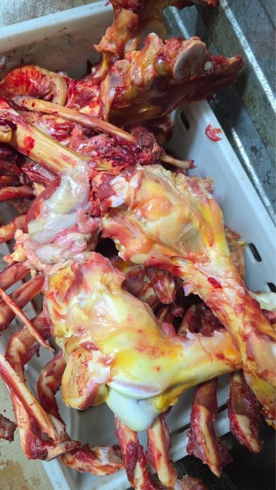 Кости для собакс