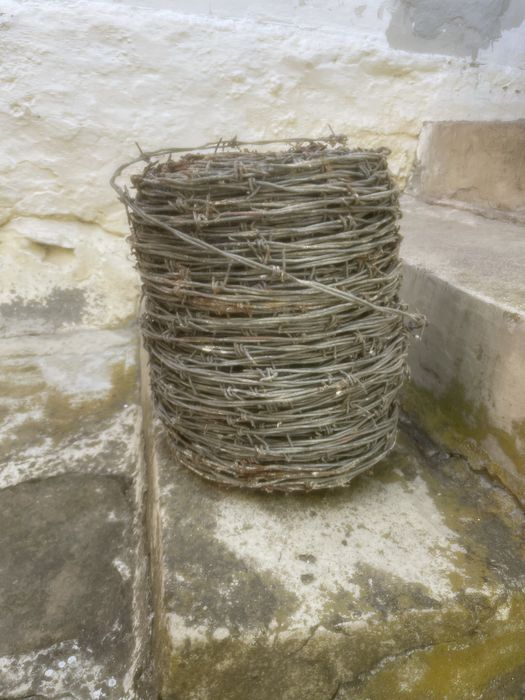 Поцинкована бодлива тел