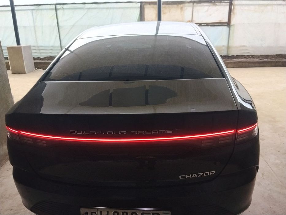 Bvd chazor flash cheep