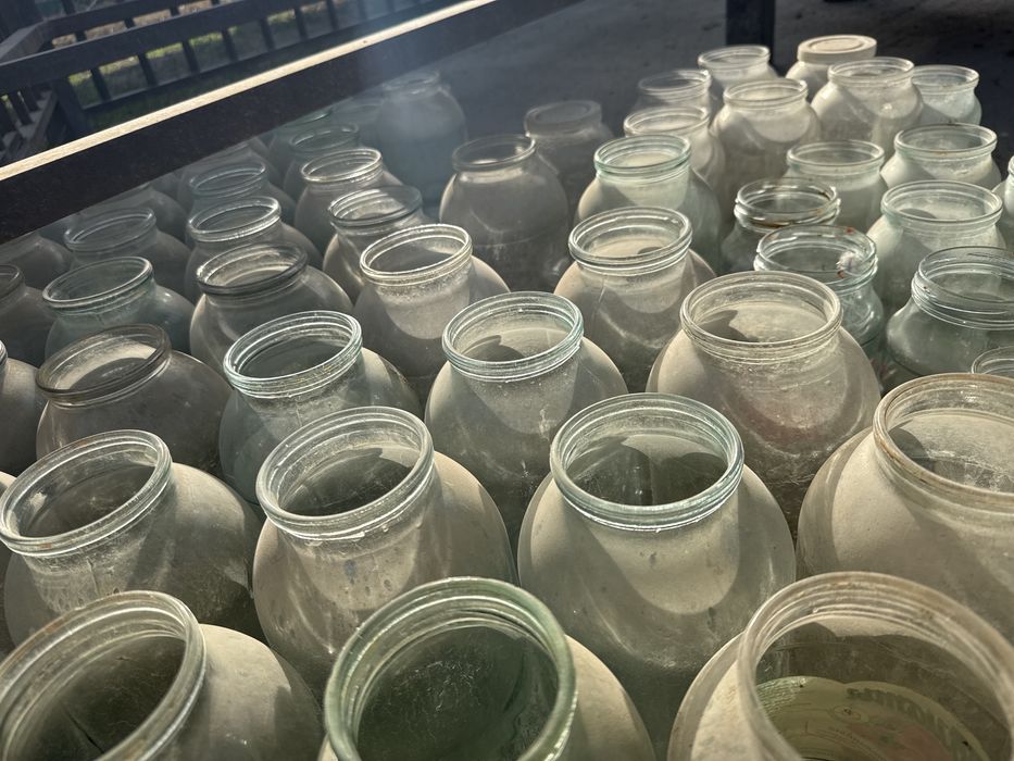 Банкылерді сатамын