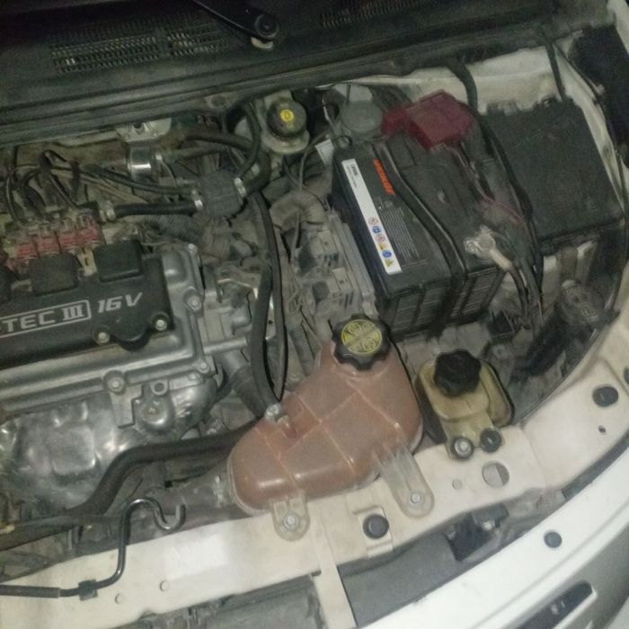 Кобилът идял мошина