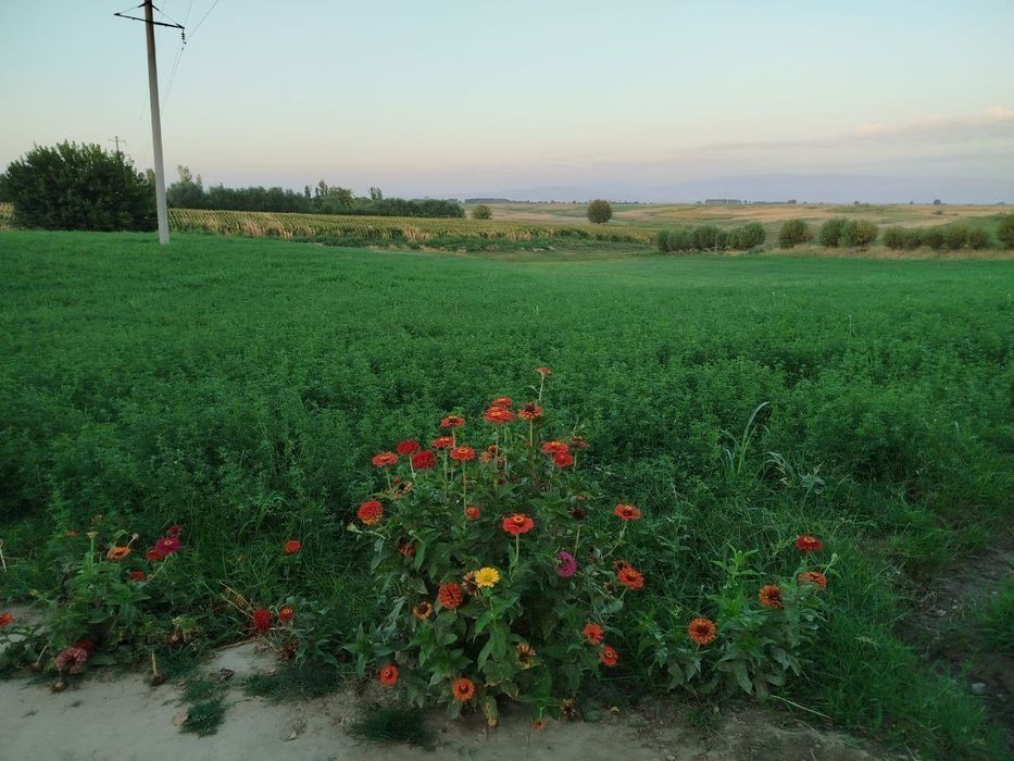 Үй сотилади 1 гектар 30 сотикик