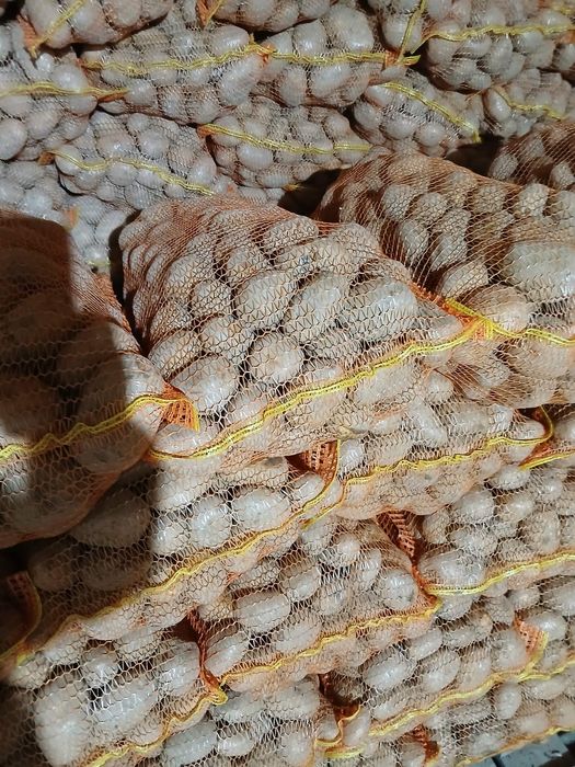 De vânzare cartofi agria