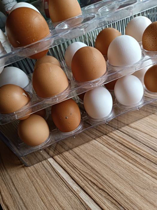 Продам домашние яйца