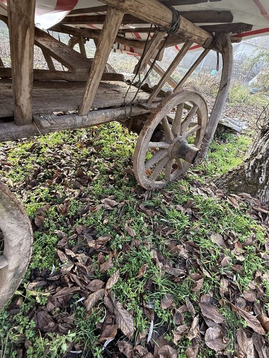 Car / caruță din lemn
