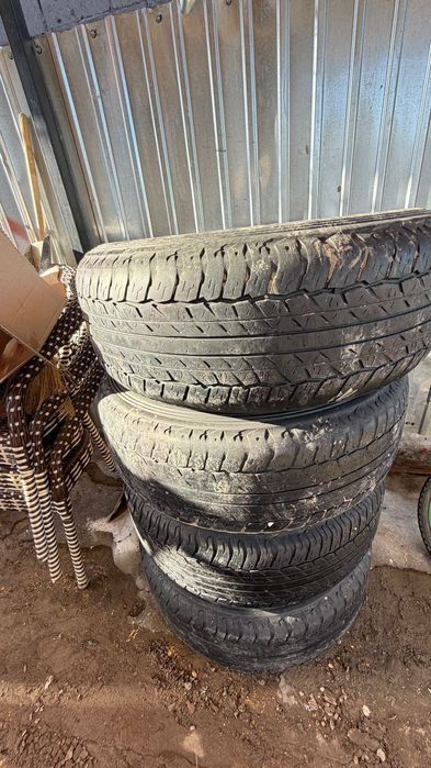 Донгелек сатылады