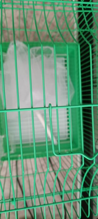 Продам клетку  для попугаев