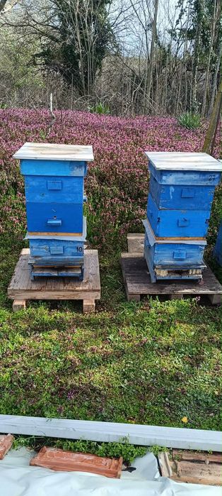 Пчелен Кошер с корпус