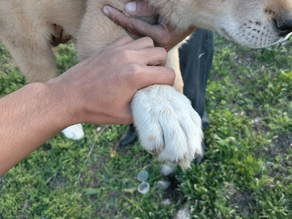 екуі сатылады сауда бар