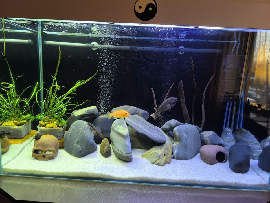 Продам аквариум 170 литров