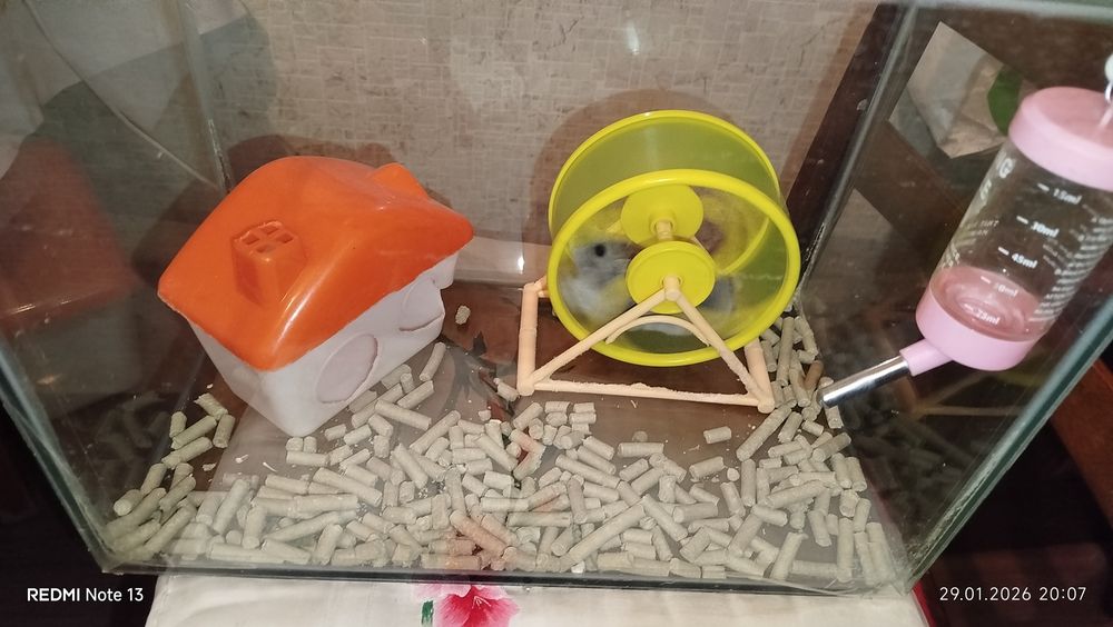 Набор для хомячков