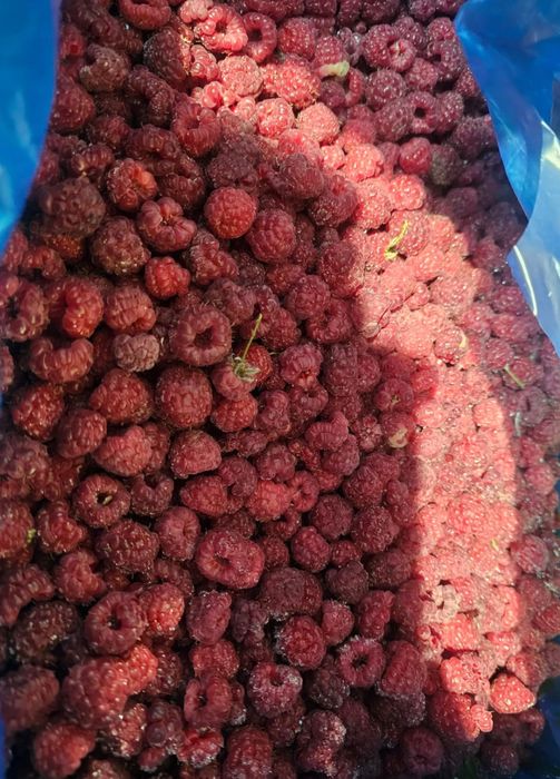 Продам малину замороженную