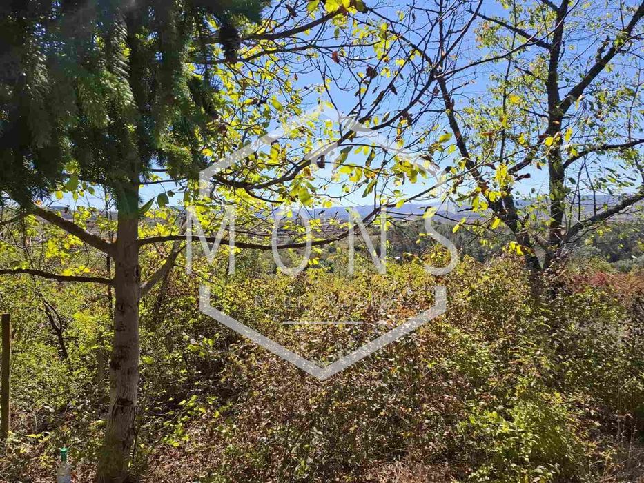 Продава се Парцел в с. Присово, Област Велико Търново - 1350 кв.м за 17 €/кв.м - Снимка #4